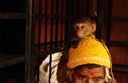 Sadhu con scimmia