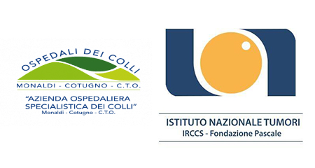 Azienda Ospedaliera dei Colli e Istituto Nazionale Tumori e IRCCS Fondazione 'Pascale'