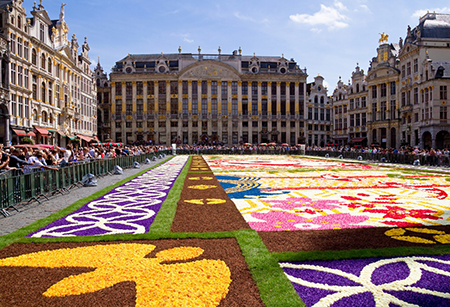 Tapis de Fleurs a Bruxelles