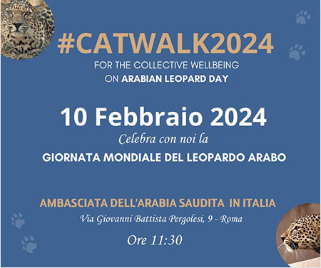 Catwalk 2024