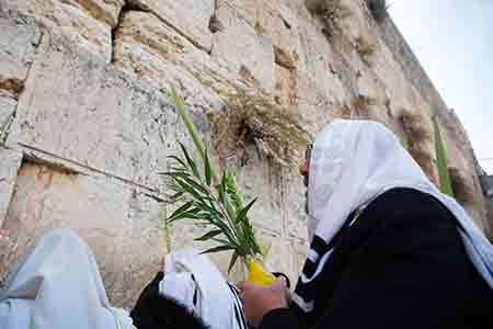 Traditional Priestly Blessing at the Western Wall - Crediti Imot